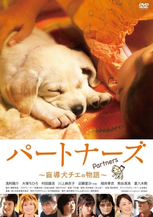 Partners full movie