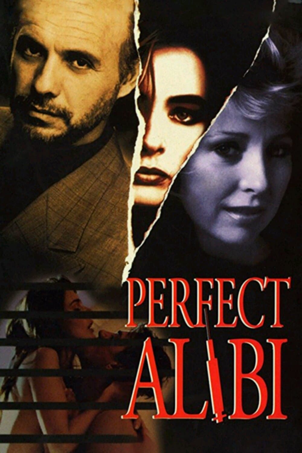 Perfect Alibi full movie