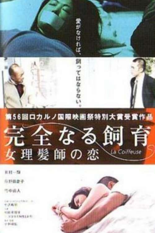 Perfect Education 5: Amazing Story full movie
