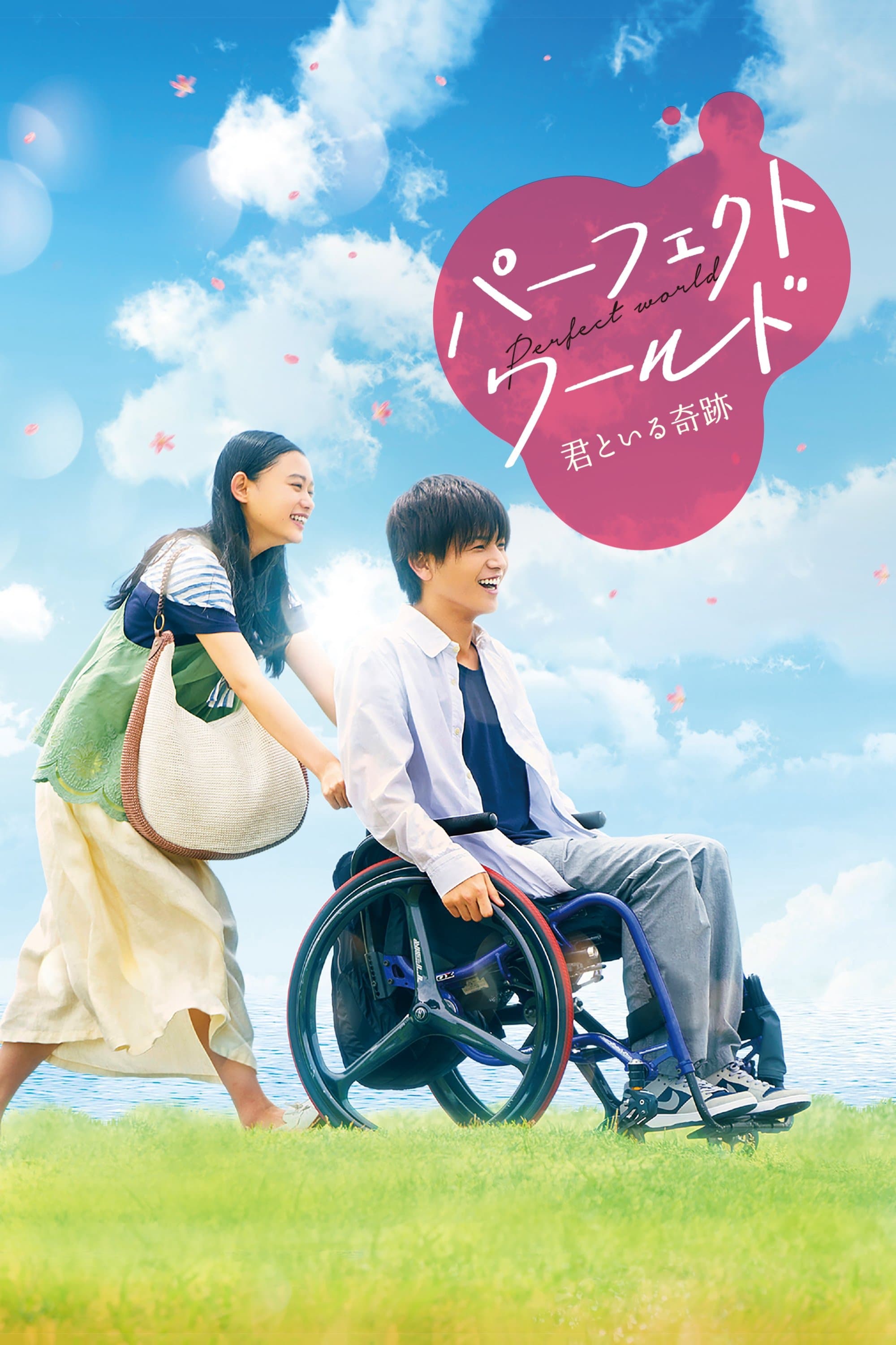 Perfect World full movie