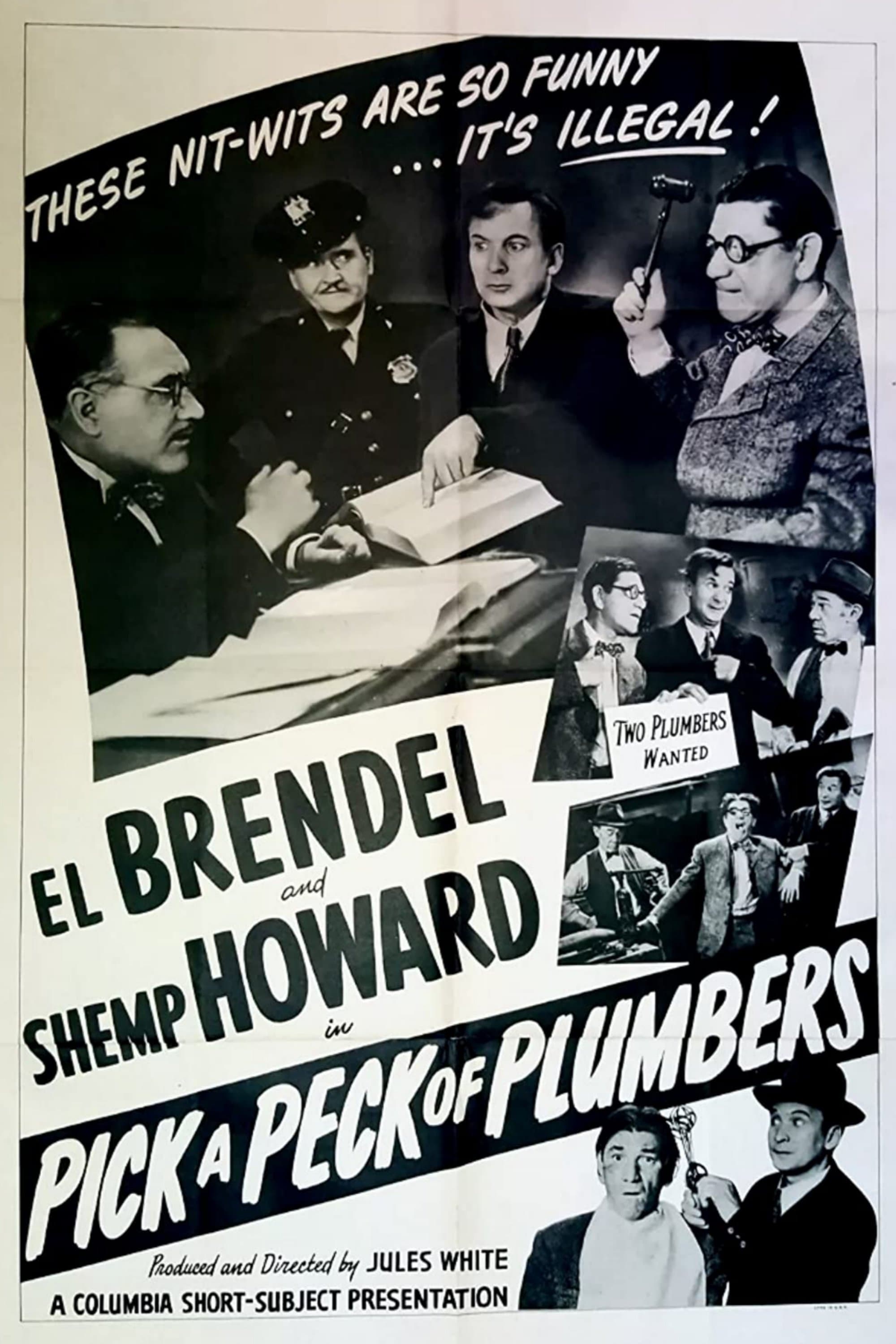 Pick a Peck of Plumbers full movie
