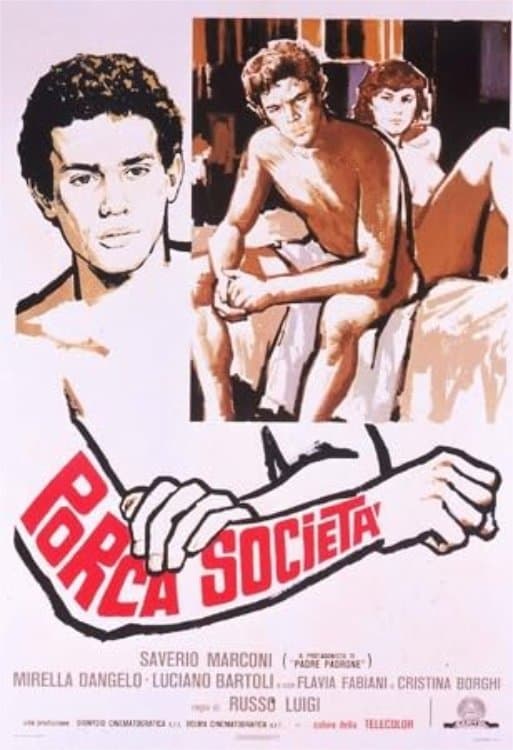 Porca società full movie