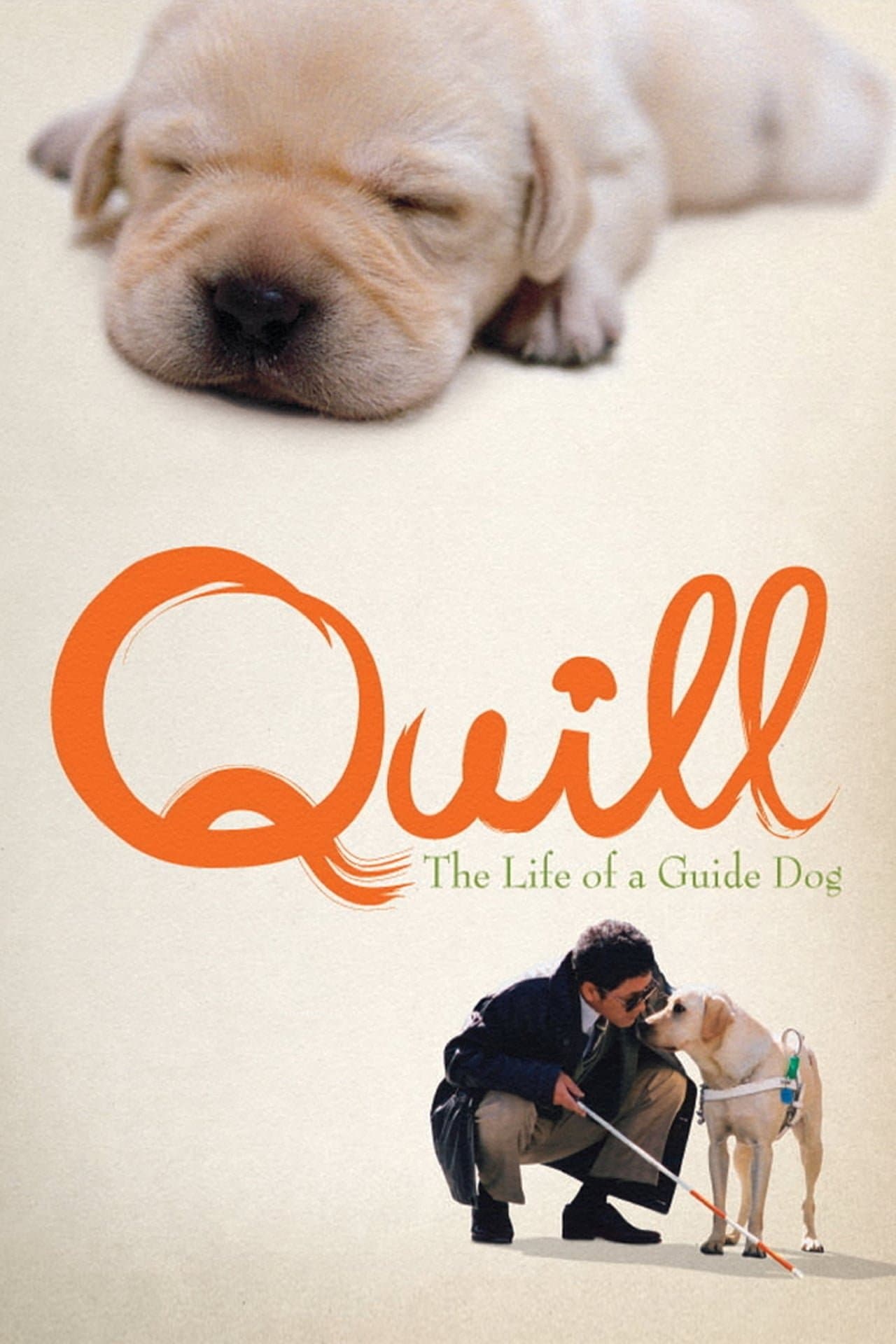 Quill: The Life of a Guide Dog full movie