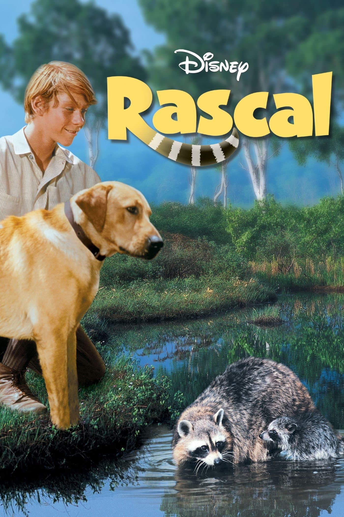 Rascal full movie