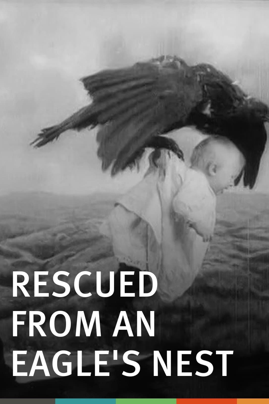Rescued from an Eagle's Nest full movie