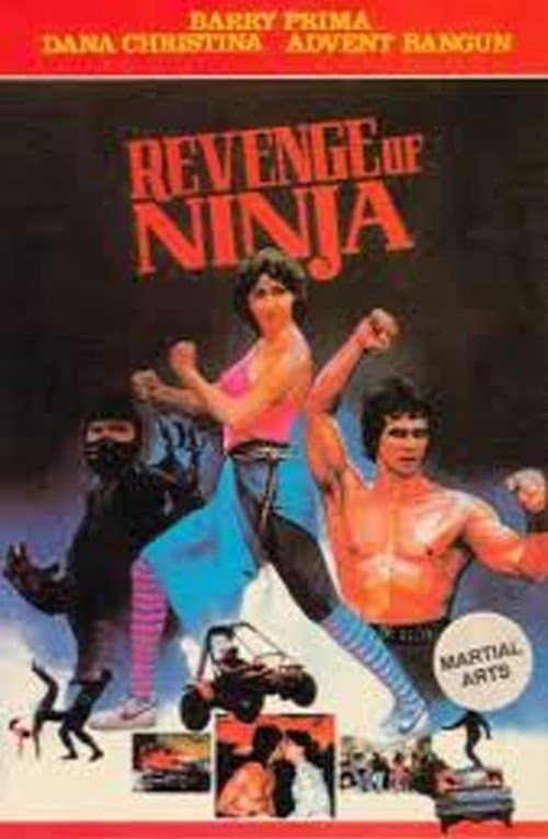 Revenge of the Ninja full movie