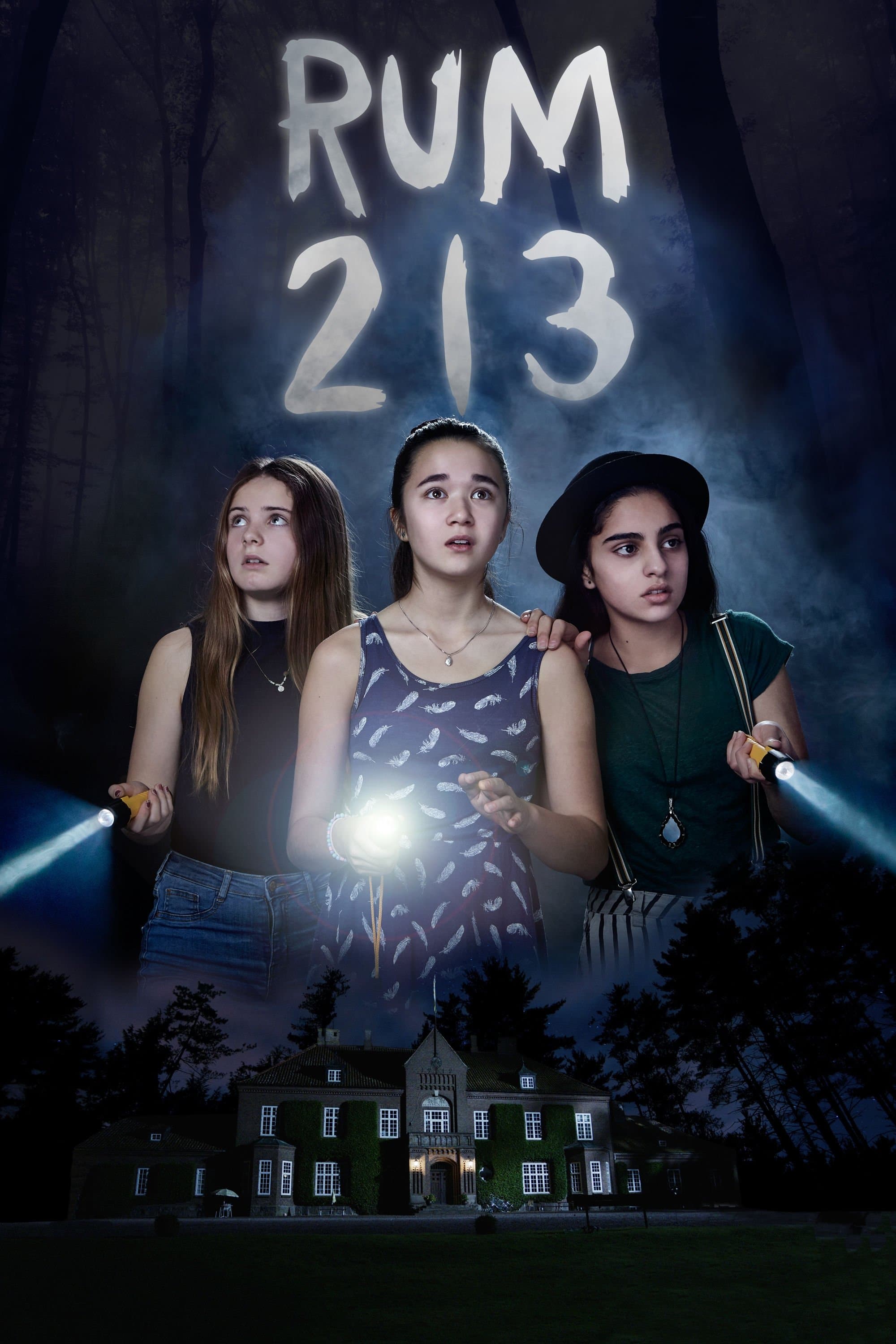 Room 213 full movie
