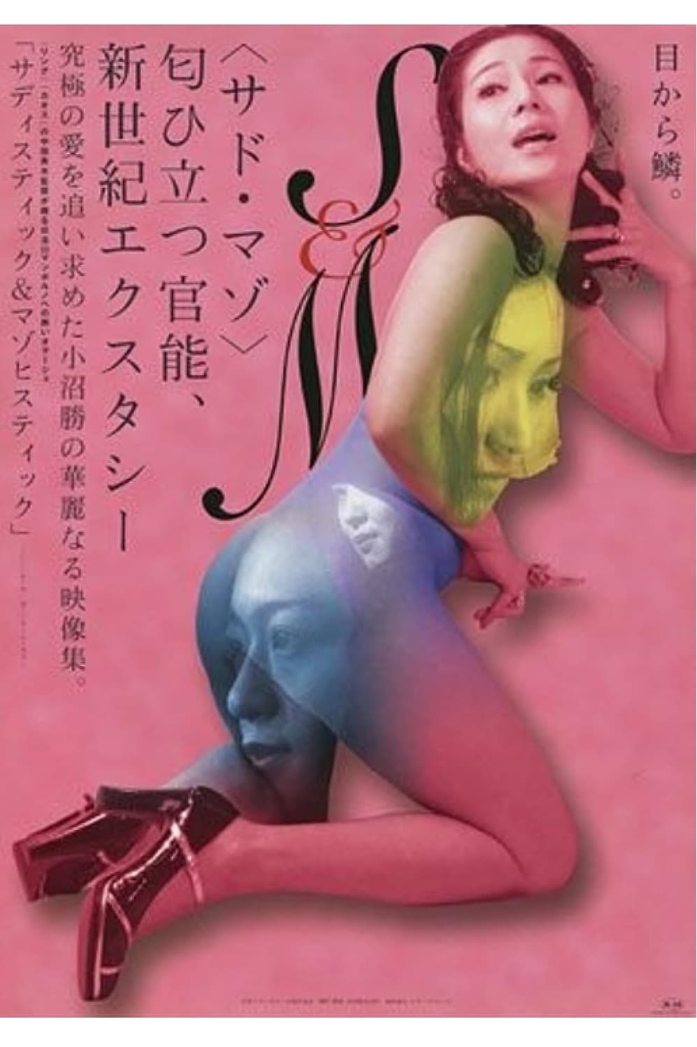 Sadistic and Masochistic full movie