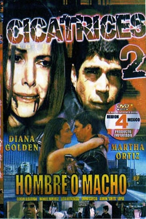 Scars 2 full movie