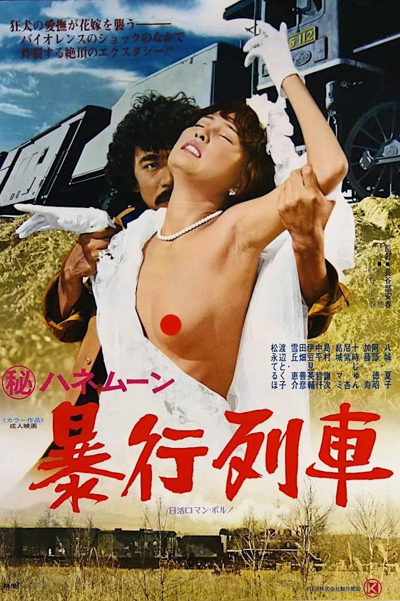 Secret Honeymoon: Assault Train full movie