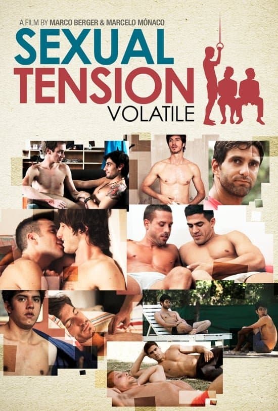 Sexual Tension: Volatile full movie