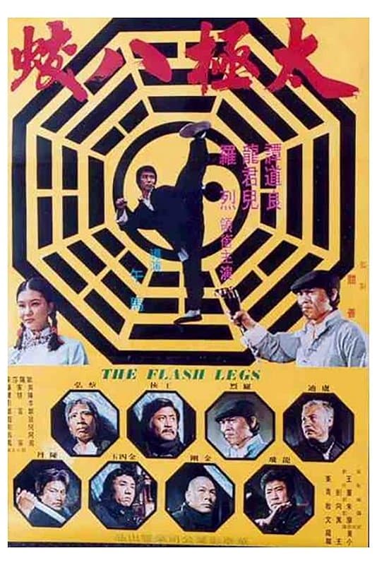 Shaolin Deadly Kicks full movie
