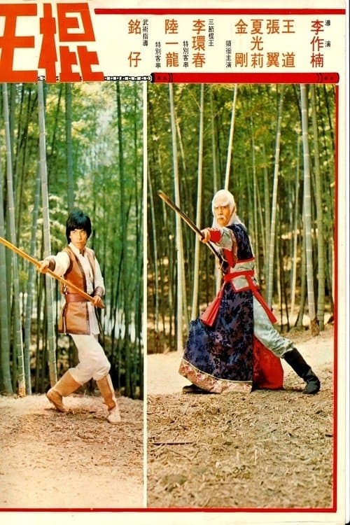 Shaolin Invincible Sticks full movie