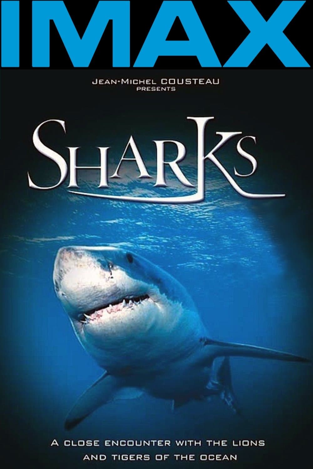 Sharks 3D full movie