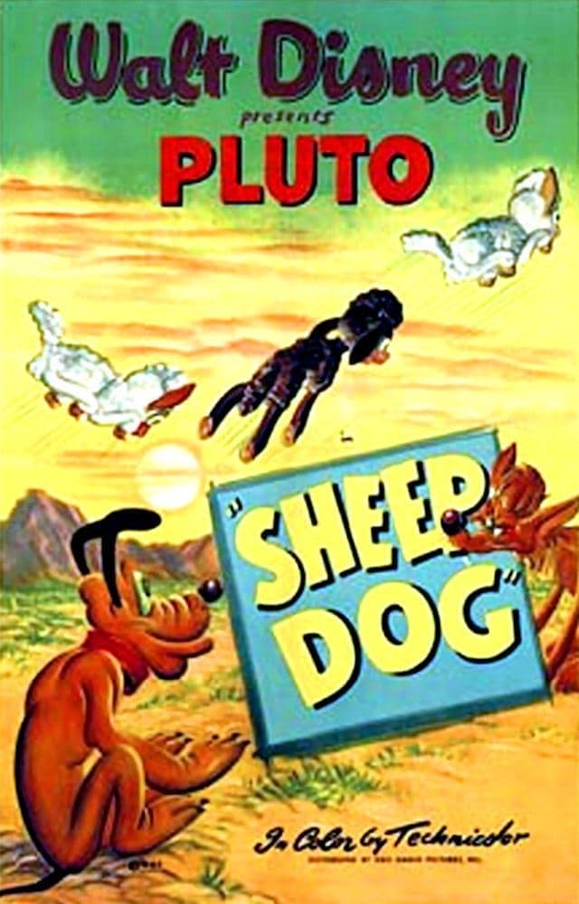 Sheep Dog full movie