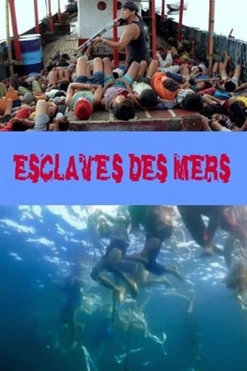 Slaves of the Seas full movie