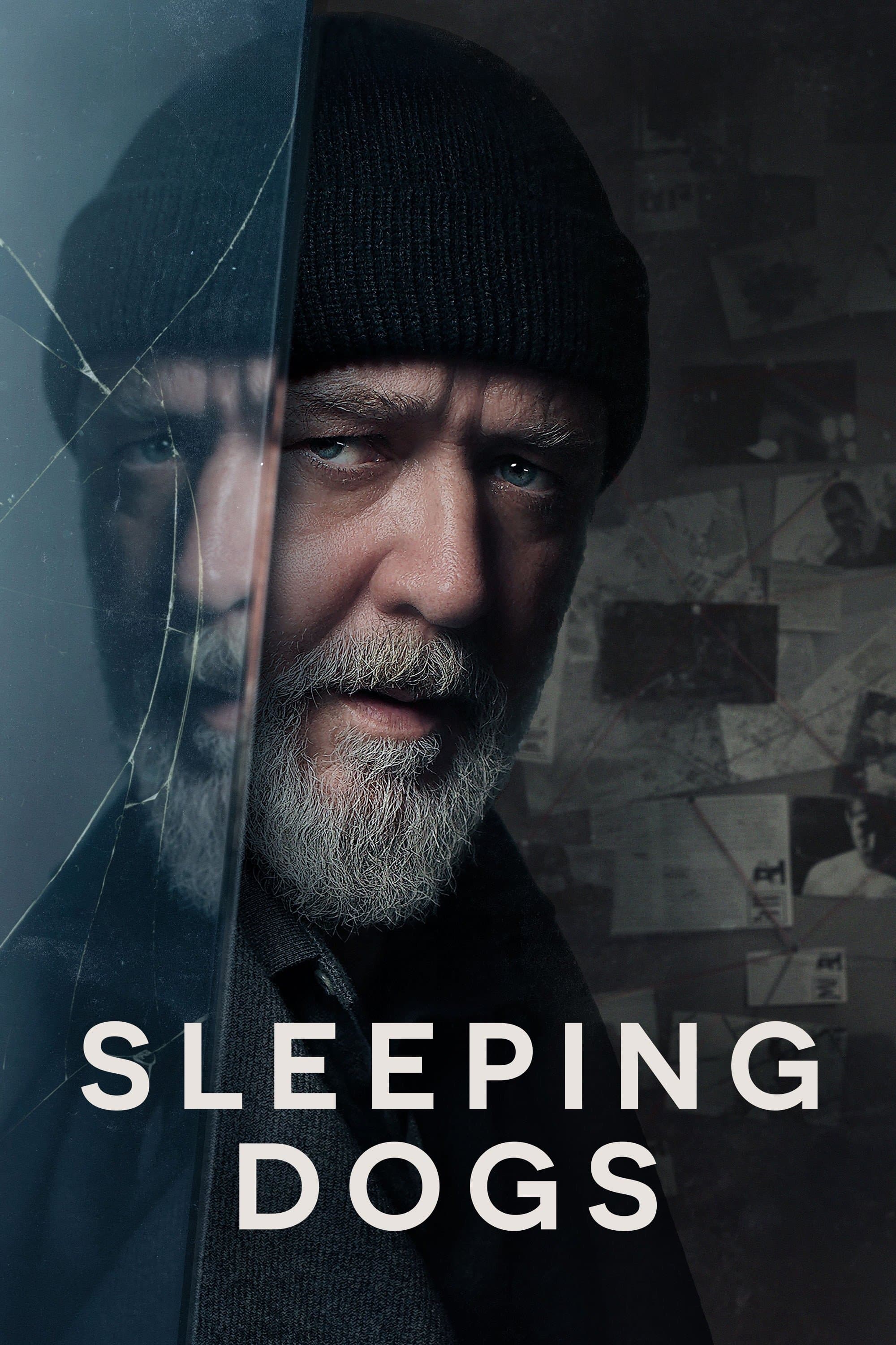 Sleeping Dogs full movie