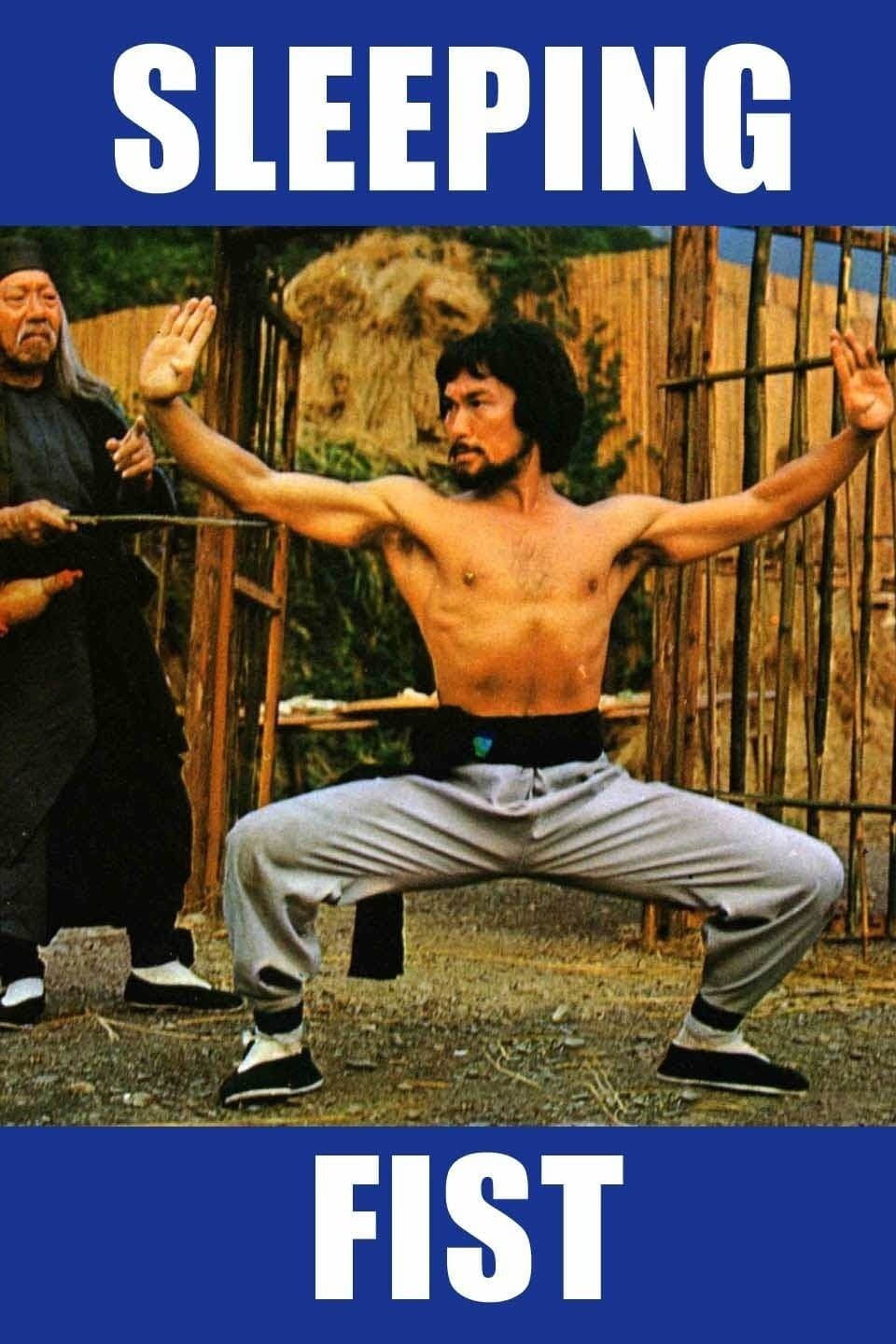 Sleeping Fist full movie