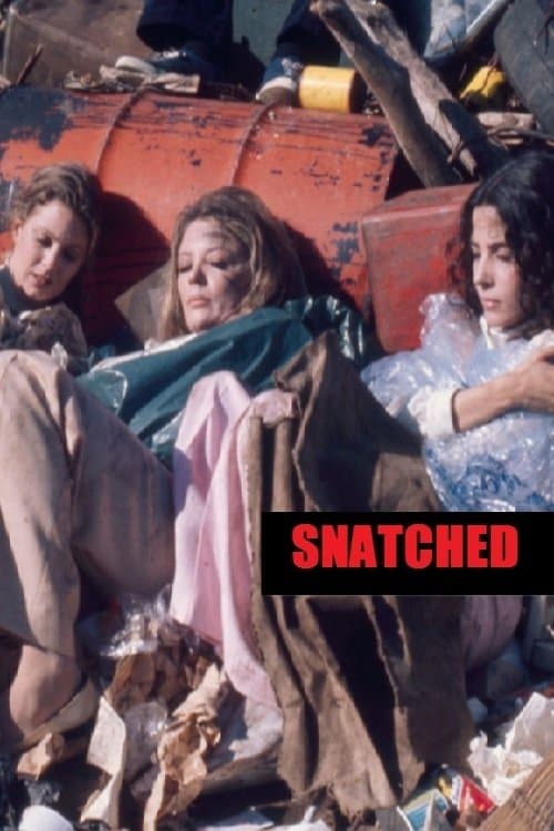 Snatched full movie