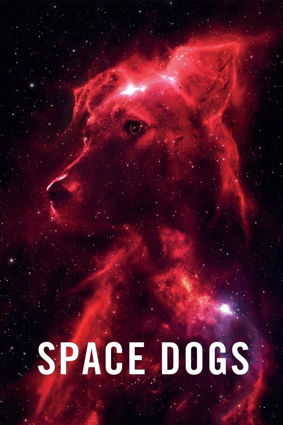 Space Dogs full movie