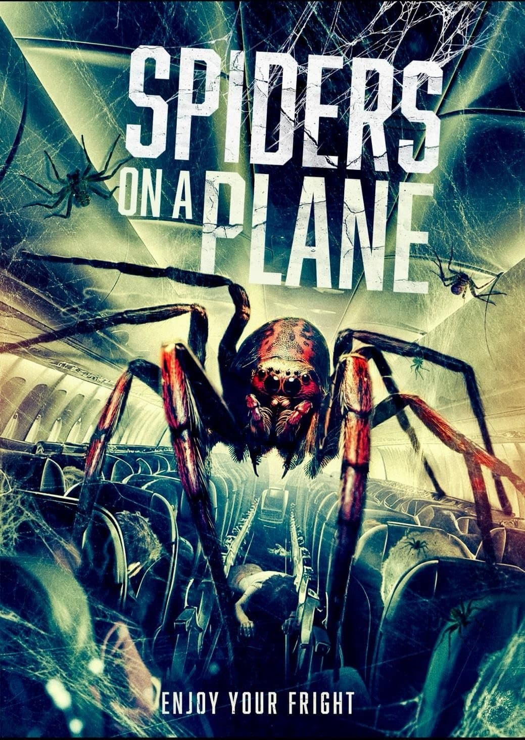 Spiders on a Plane full movie