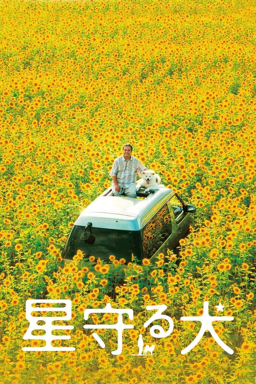 Star Watching Dog full movie
