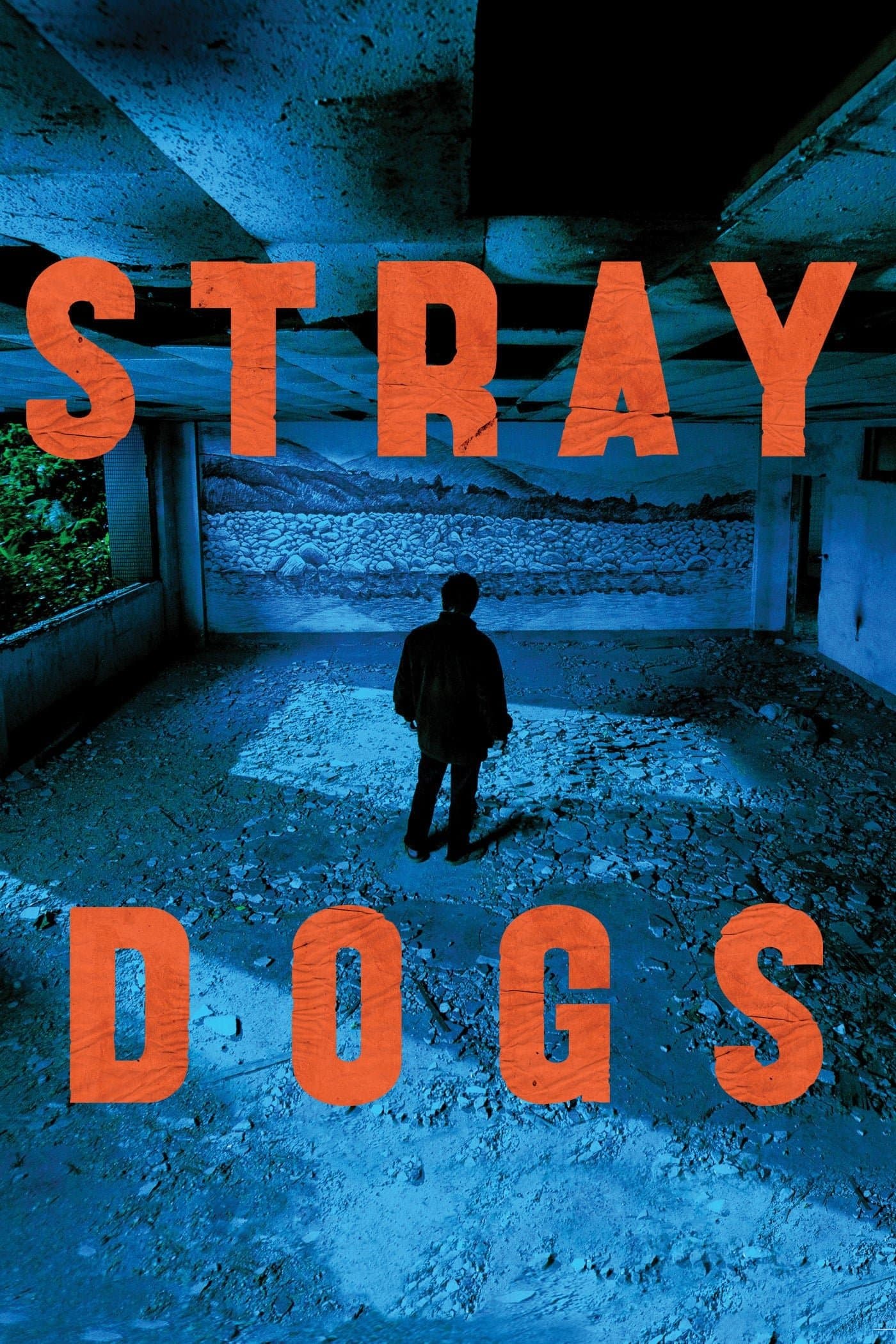 Stray Dogs full movie
