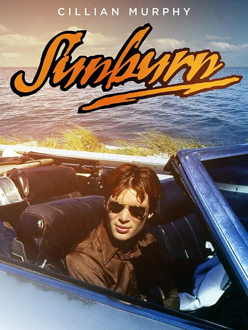 Sunburn full movie