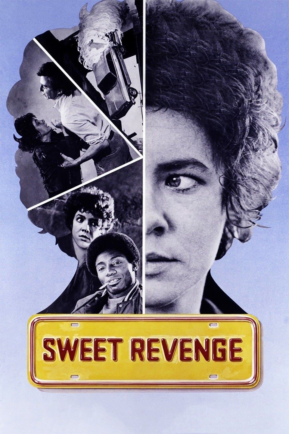 Sweet Revenge full movie