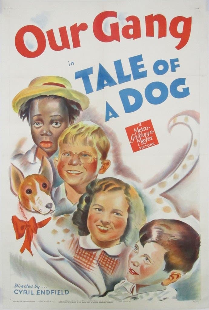 Tale of a Dog full movie
