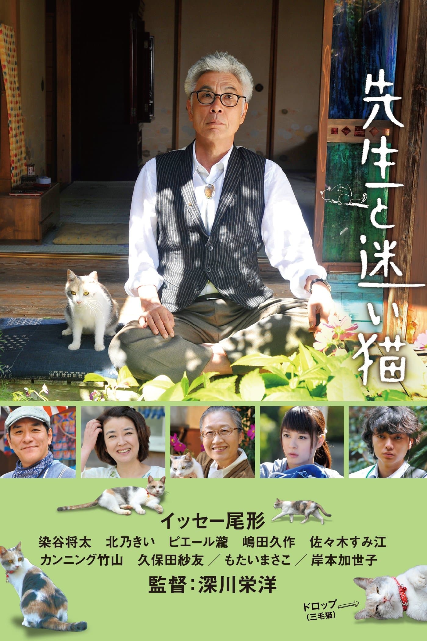 Teacher and Stray Cat full movie