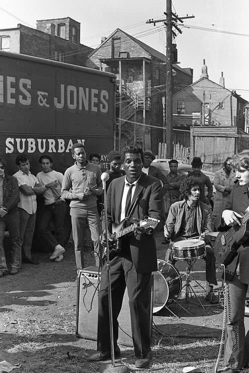 That Rhythm, Those Blues full movie