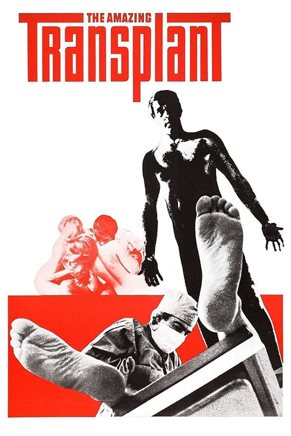 The Amazing Transplant full movie