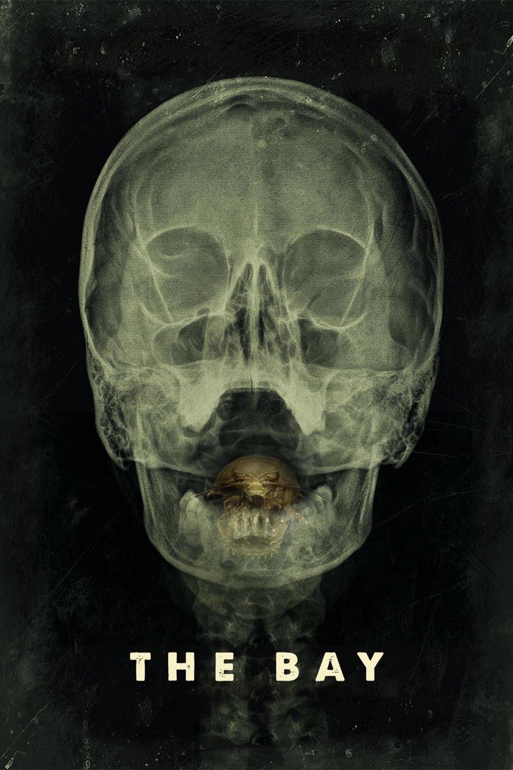 The Bay full movie