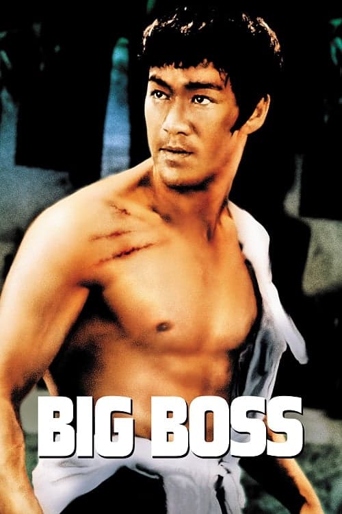 The Big Boss full movie