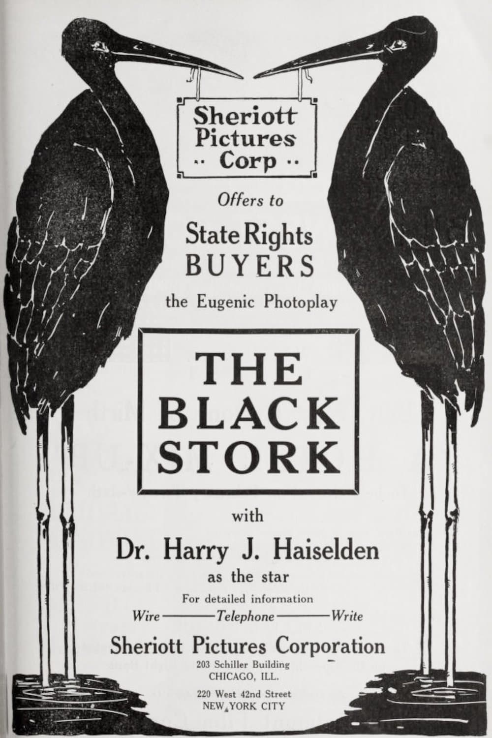 The Black Stork full movie