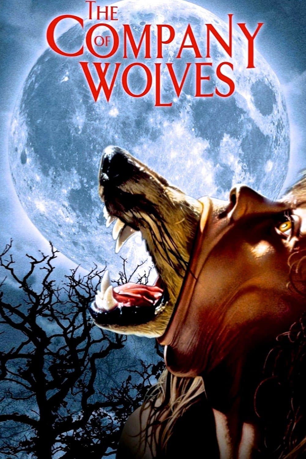 The Company of Wolves full movie
