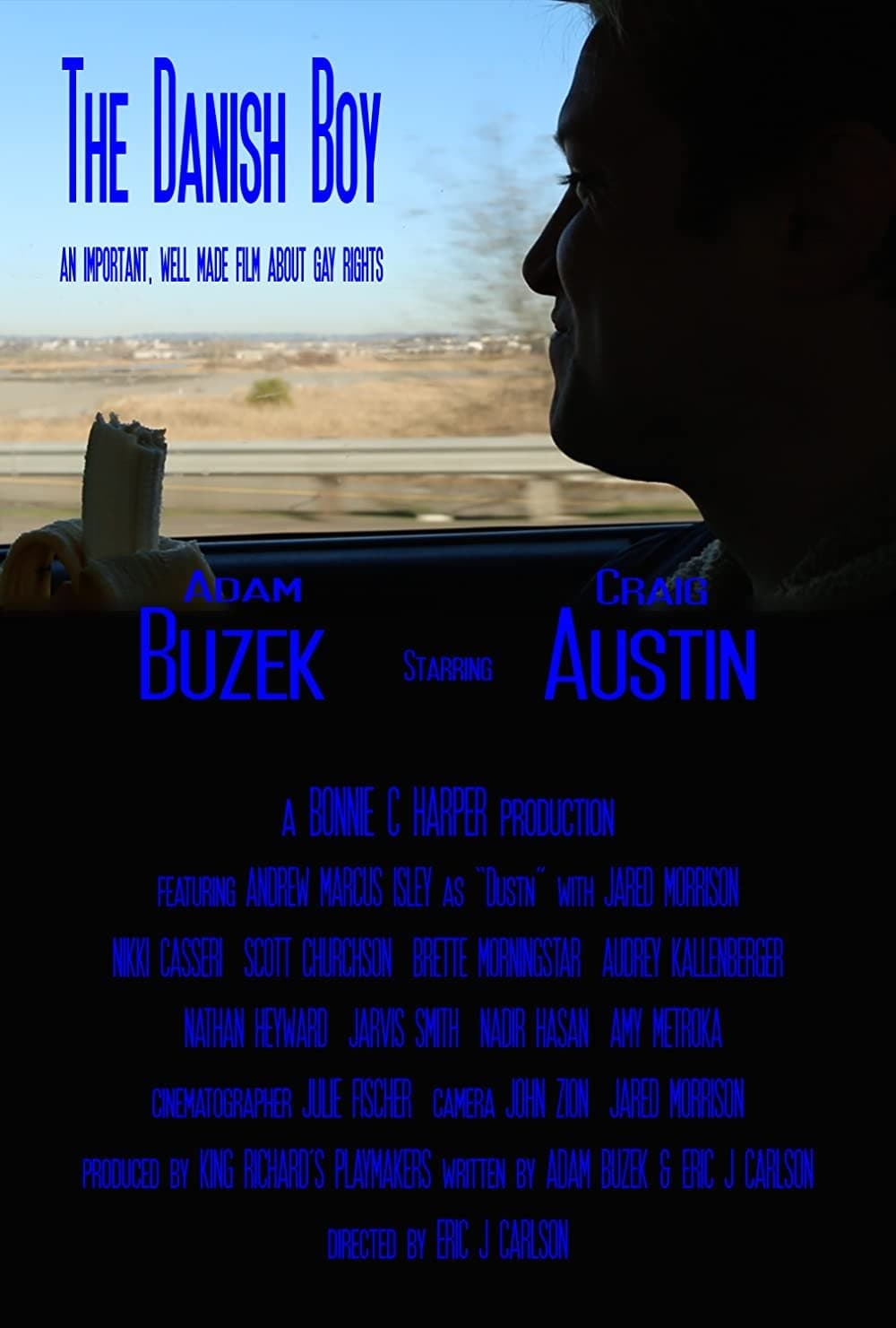 The Danish Boy full movie