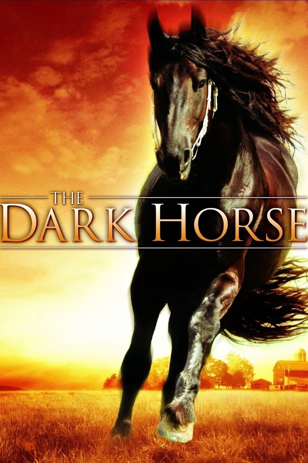 The Dark Horse full movie