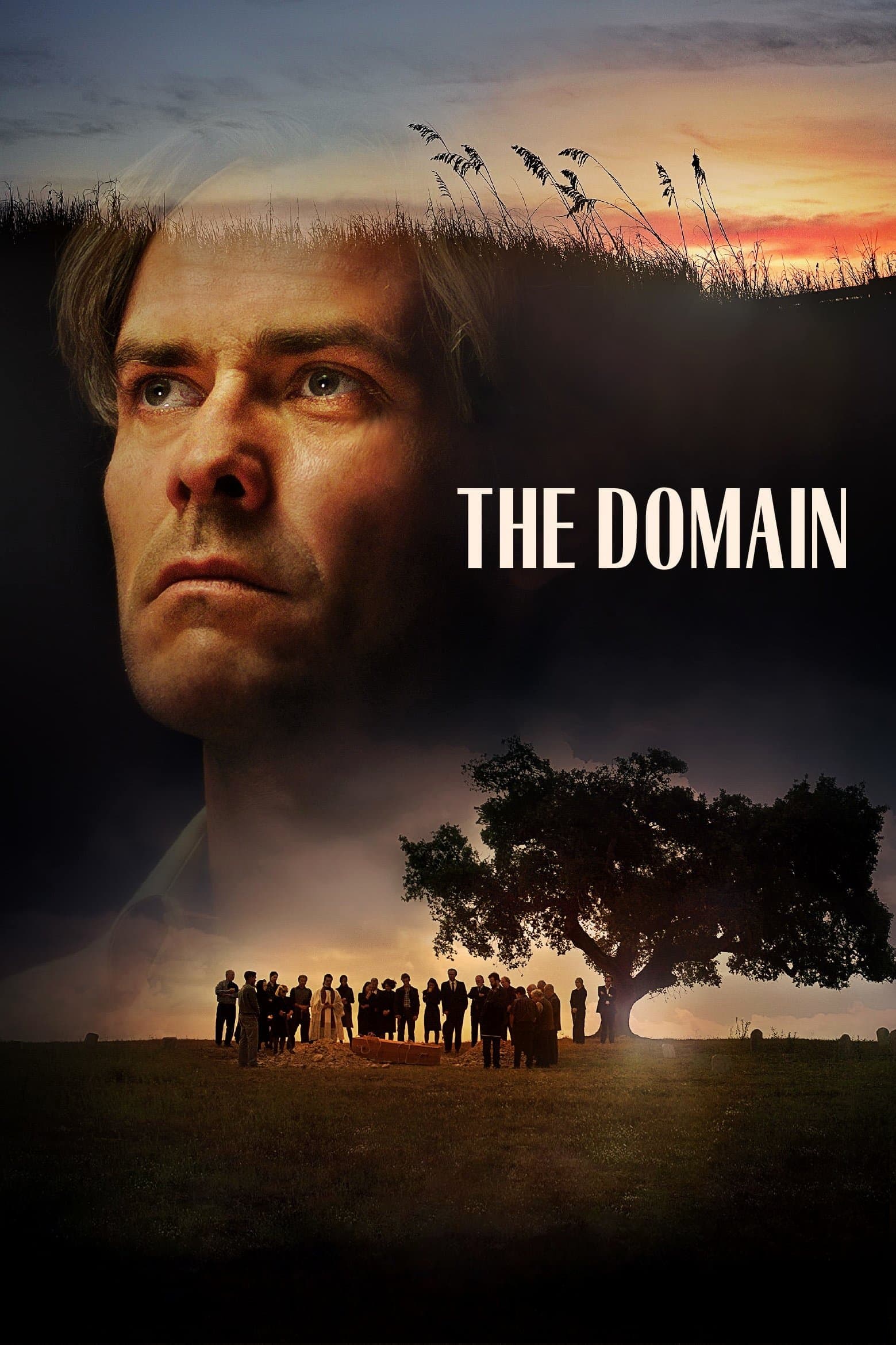 The Domain full movie
