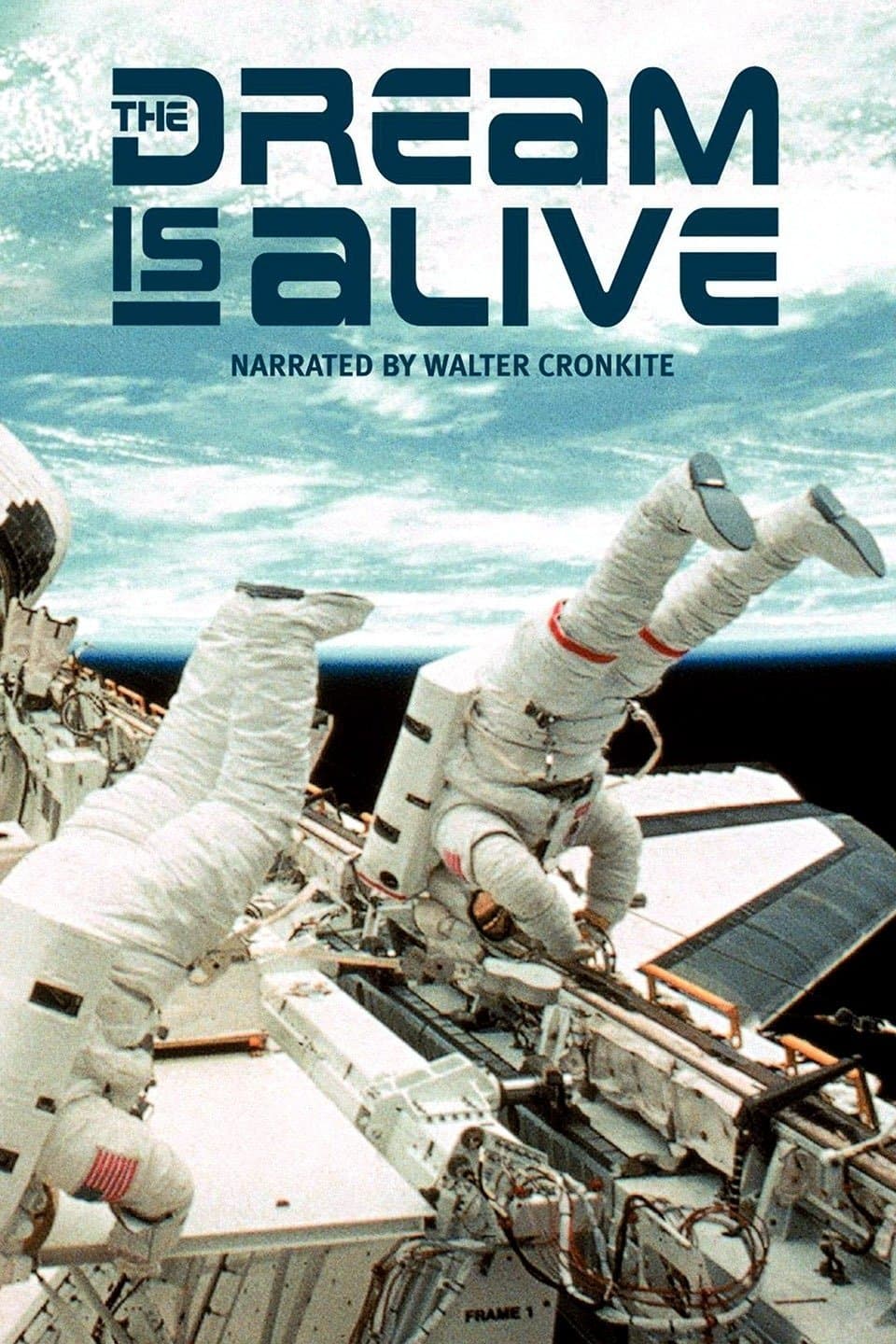 Poster for The Dream Is Alive