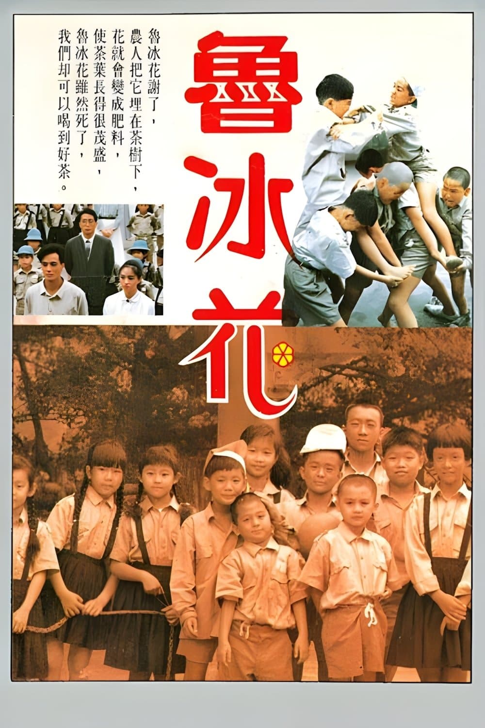 The Dull-Ice Flower full movie
