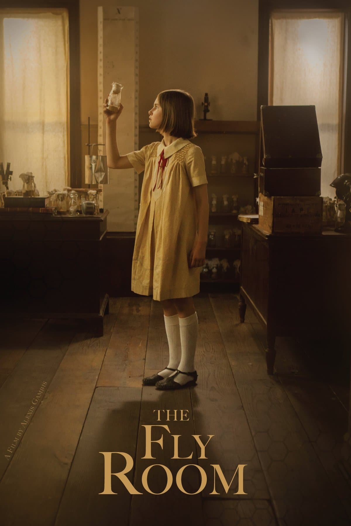 The Fly Room full movie