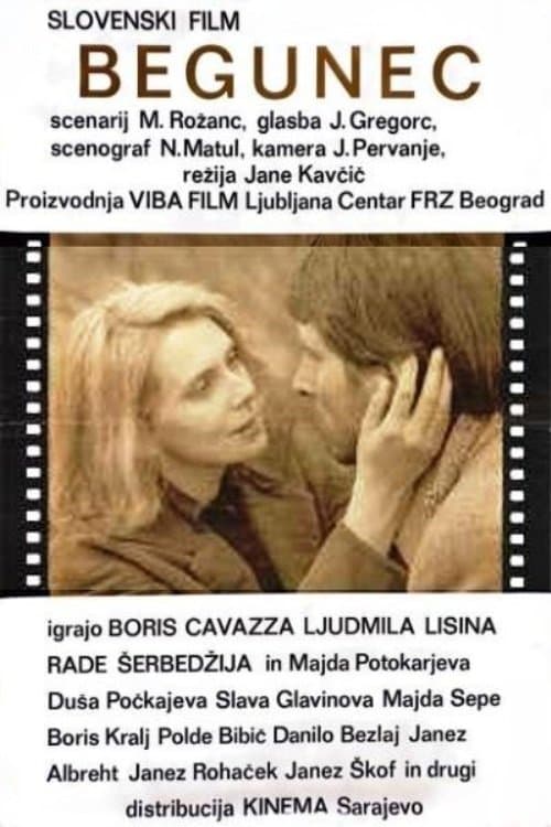 The Fugitive full movie