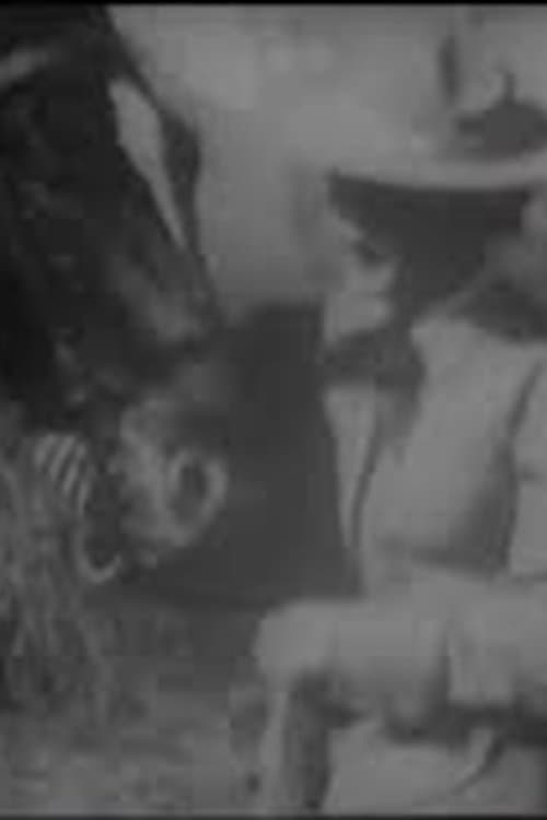 The Girl from Montana full movie