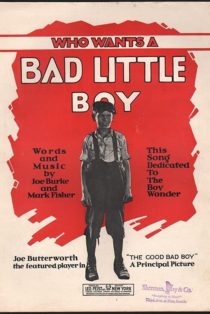 The Good Bad Boy full movie