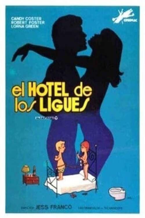 The Hotel of Love Affairs full movie