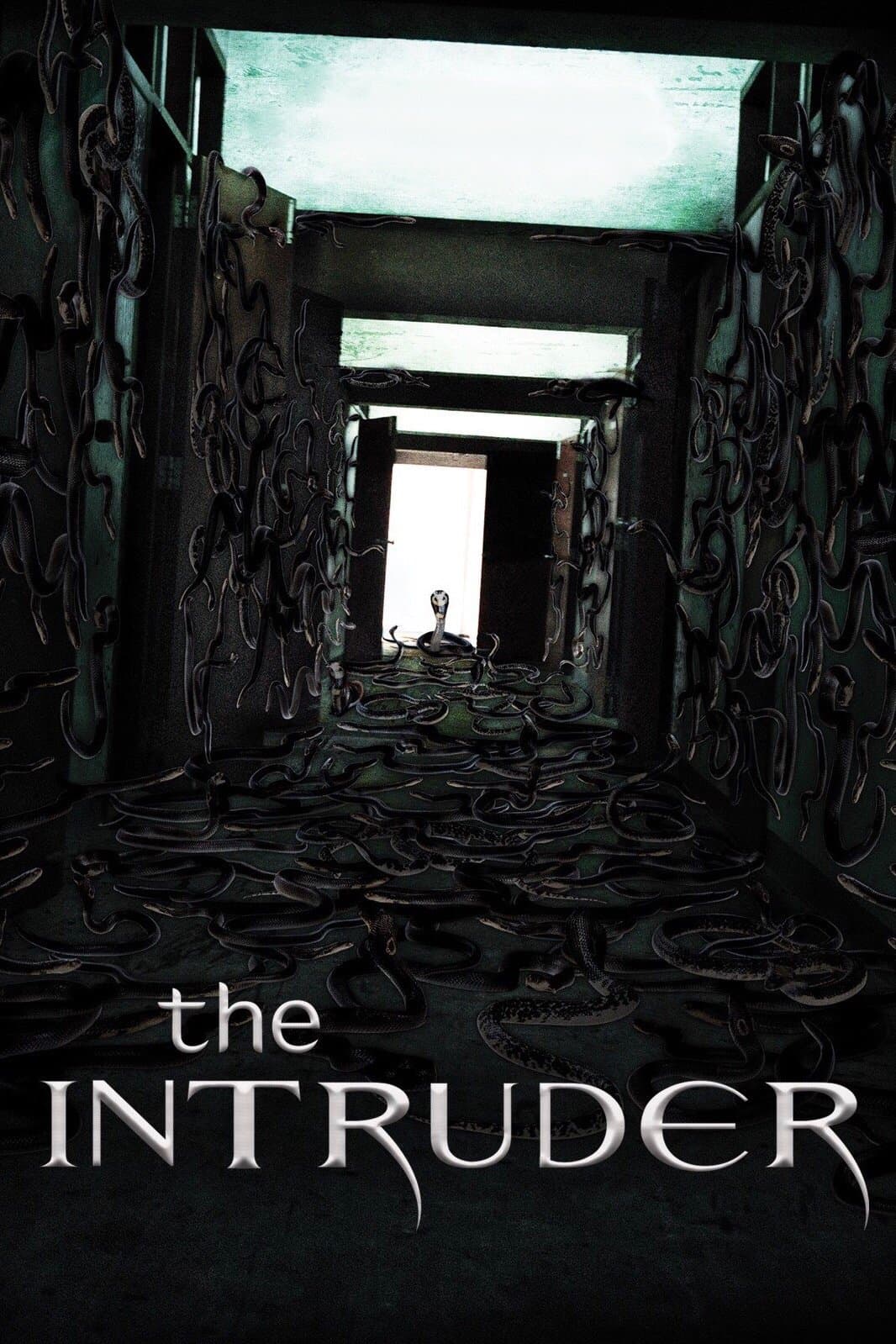 The Intruder full movie