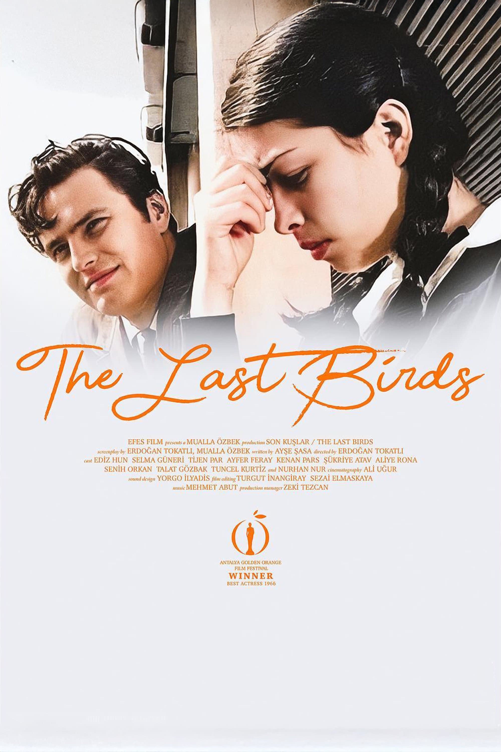 The Last Birds full movie
