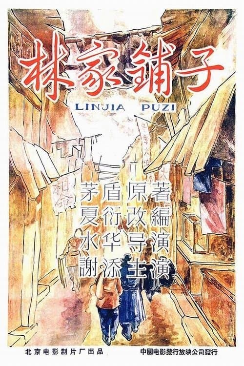 The Lin Family Shop full movie